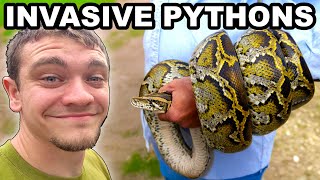 Hunting Invasive Pythons in the Florida Everglades!