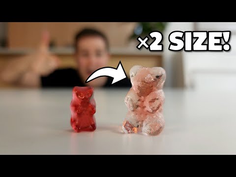 The Gummy Bear Experiment!
