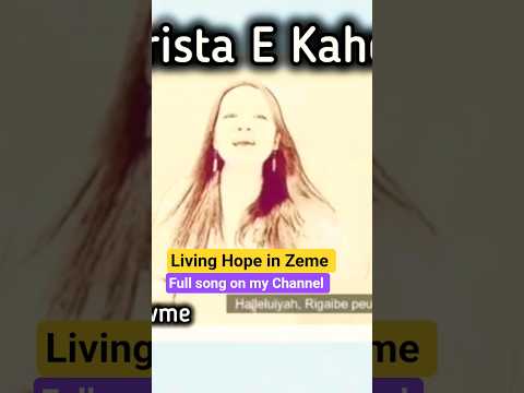 #coversong #christianmusic #livinghopecover #philwickham #worshipmusic  #zeme