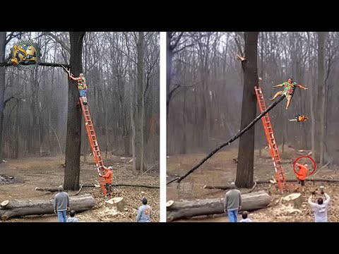 Idiots With Chainsaws: Tree Cutting Fails | Extreme Dangerous Logging Truck Fails #26