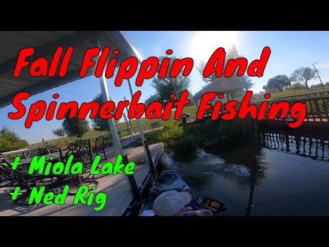 Fall Kayak Fishing: Fall Spinnerbaits - Flippin - Ned Rig