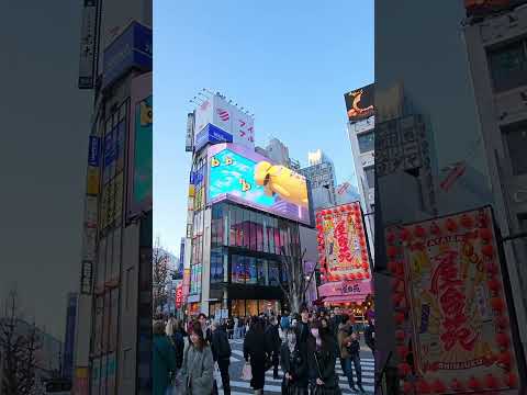 Shinjuku, Tokyo 🇯🇵 #travel #japantravels #trip #japantravel #japantraveler #japan #tokyo #Shinjuku
