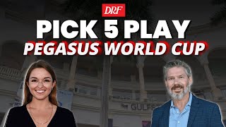 Pegasus World Cup Pick 5 Play | January 24, 2026