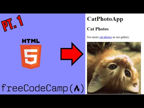 Learn HTML by Building a Cat Photo App | FreeCodeCamp Walkthrough Part 1