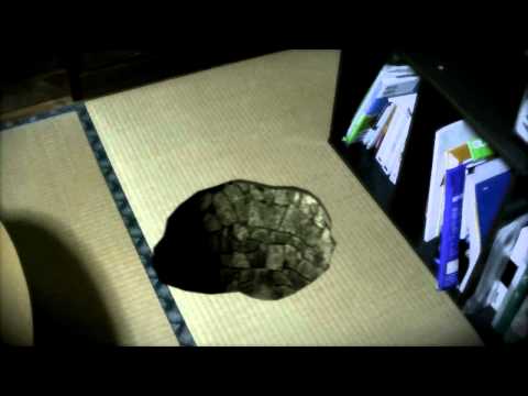 Cameratracking in blender.avi