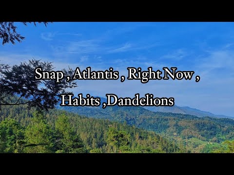Snap , Atlantis , Right Now , Habits ,Dandelions Lirik TikTok hits song + lirik