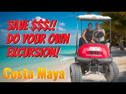 What Really Happens When You Leave the Cruise Ship