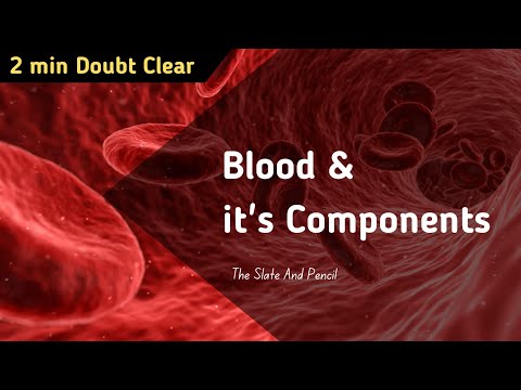 Inside Blood: Unlocking Its Composition Secrets! - Quick 2 min Video - tsplearning