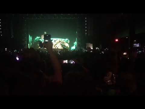 Excision opening of the paradox Salt Lake City Utah 2019