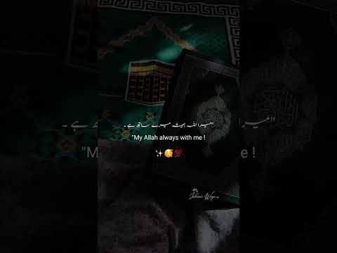 Untitled video