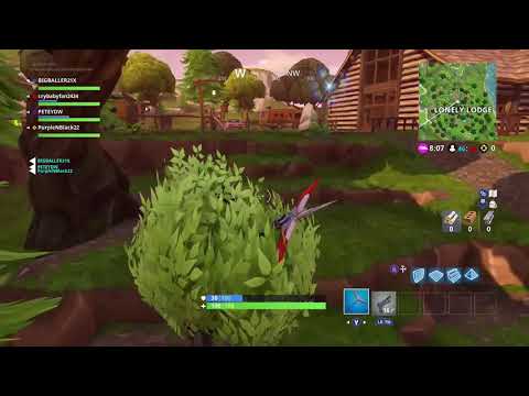 Bush