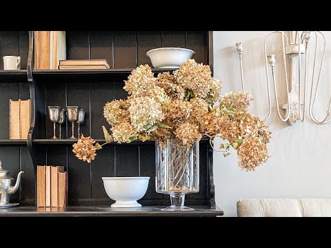 How to preserve limelight hydrangeas