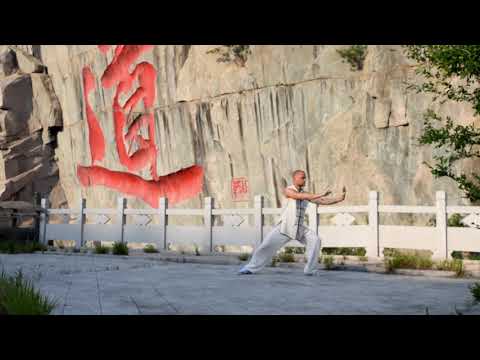 Yang Taichi 24 Waterdragonarts