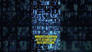 Encryption Key Management in the Cloud: Unlocking Security! 🔑 #encryption #cloudsecurity #ytshorts