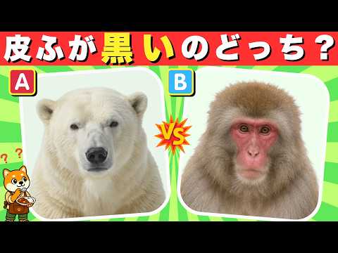 [Trivia Quiz] Really?! 22 fun and educational questions!