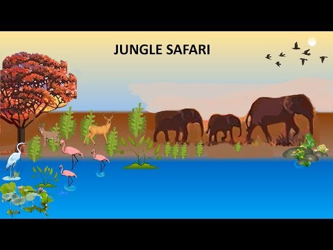 CBSE: Class 4: English story: Jungle Safari