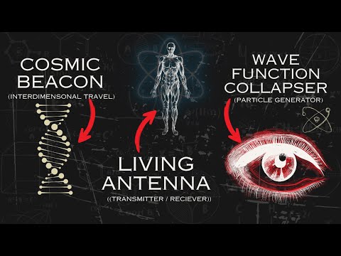 You Are a Living Antenna