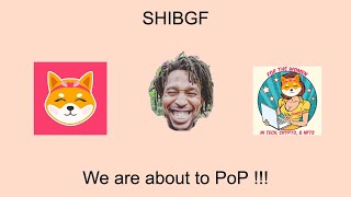 ShibGF Unseen Website We are going to 100X Proof !!!!!! #SHIBGF #DOGEGF