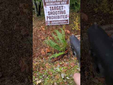 Don't tell me what to do! #gun #target #btc_rat