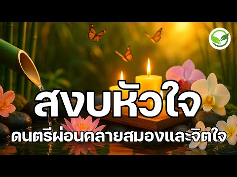 สงบหัวใจมากขึ้น ดนตรีบำบัดความเครียดสะสม ดนตรีผ่อนคลายสมองและจิตใจ ดนตรีสมาธิ relaxing music