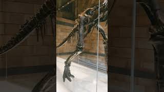 National museum tour🌍🌎 uk#NationalMuseumUK#UKHistory#BritishCulture#MuseumMoments#ExploreUK