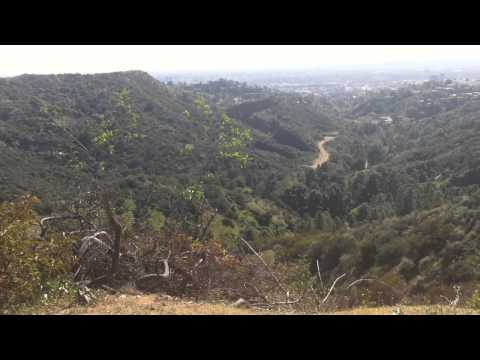 Hollywood Sign