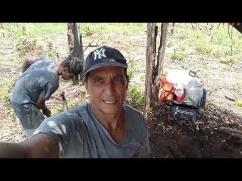 construindo um novo abrigo para o kilo do almoço (1)