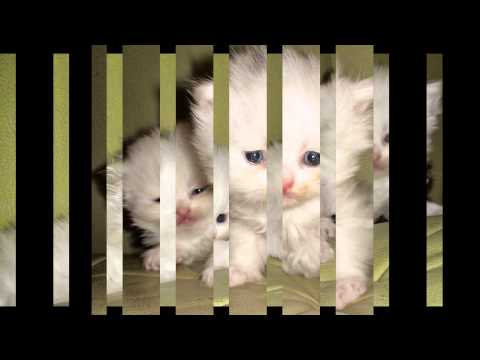 My Edited Video