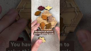 Go All In to pack these pieces into the tray. #puzzlesolving #puzzles