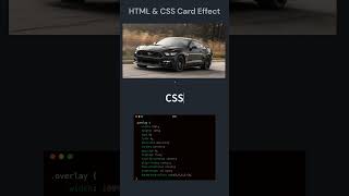 HTML CSS Card Effects#html #css #javascript