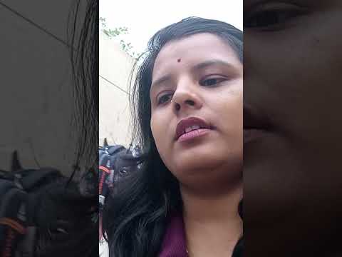 उत्तराखंड मे यहाँ है काशी विश्वनाथजी का प्राचीन मंदिर#ytshorts#kedarnath#travel#minivlog#chardham