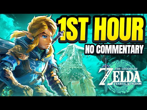 First Hour of Gameplay in The Legend of Zelda: Tears of the Kingdom | Great Sky Island