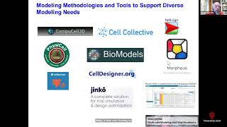 WG Seminars: Glazier and Helikar, MSMViral Working Group History and Future, December 8, 2022
