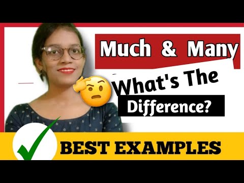 Learn the Difference between Much  & Many | With Examples | Basic English | Personalopedia