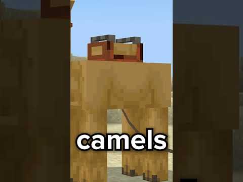 EVERYTHING You Need To Know About Minecraft 1.20! #minecraft #shorts