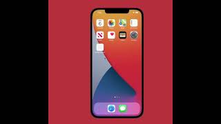 Repla's App Development Services