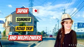 JAPAN SUMMER ROAD TRIP and wildflowers #japan #roadtrip #summer