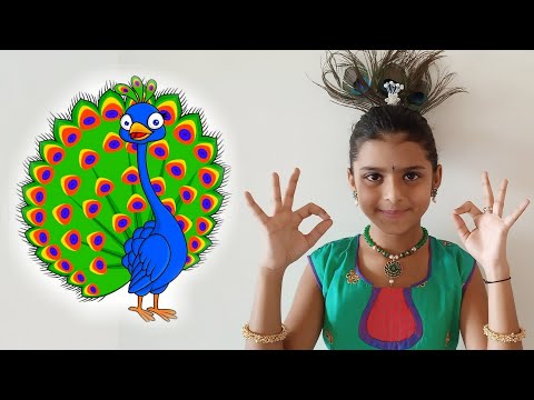 Nach re mora Ambyachya Vanat l Marathi rhymes l नाच रे मोरा l favorite song by Vrindas basket