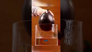 How Powerful Is Science? Mind-Blowing Experiments Explained!