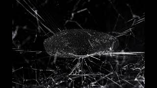 Quantum Leap Delay: Why Change Doesn’t Appear Instantly