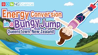 Energy Conversion in a Bungy Jump – Queenstown, New Zealand