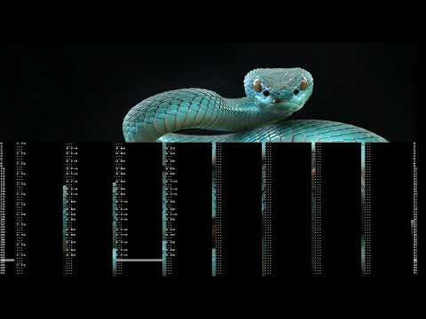 Creating a music tracker