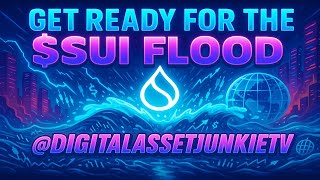 $SUI Network Is the Hidden Power Player in Web3 🔥