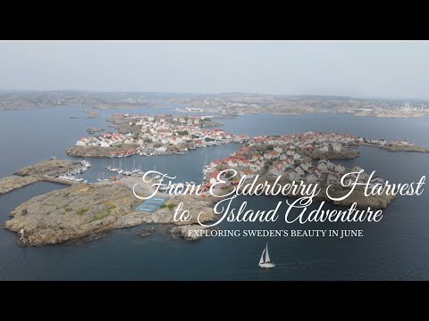 #9 From Elderberry Harvest to Island Adventure - exploring Sweden's beauty in June
