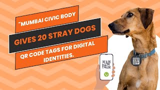 The Incredible Power of QR Code Tags: BMC Empowers Stray Dogs in Mumbai