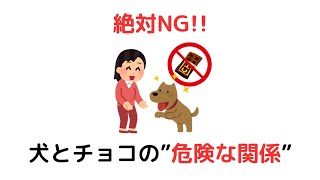ゆっくり解説 雑学 豆知識 トリビア 聞き流し 役に立つ おもしろい 面白い 楽しい 笑える バラエティ