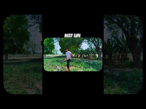 Khet Mein Zindagi | A Cinematic Desi Vlog | Face Cam Experience | Khet Mein Pani Lagaya |