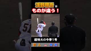 巨人 浅野翔吾はものが違う！超特大の今季1号！ ファンから「えぐすぎる」といった称賛の声！　#浅野翔吾 #巨人 #読売ジャイアンツ #ジャイアンツ #プロ野球 #プロ野球ニュース