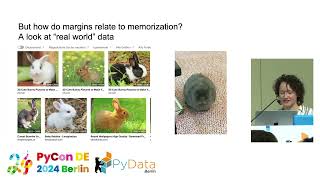 Your Model _Probably_ Memorized the Training Data [PyCon DE & PyData Berlin 2024]