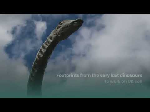 Folkestone Dinosaur Footprints